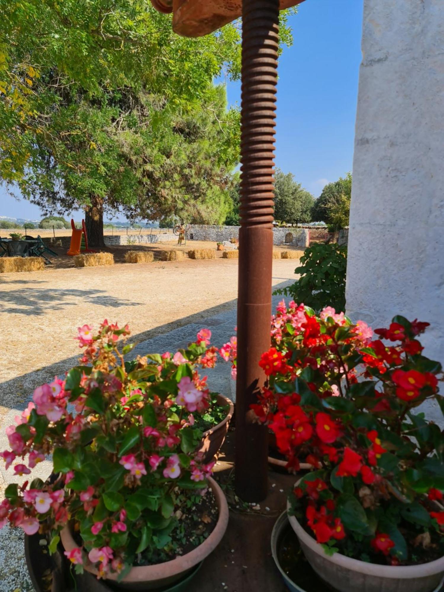 צ'יסטרנינו Masseria Gianca מראה חיצוני תמונה