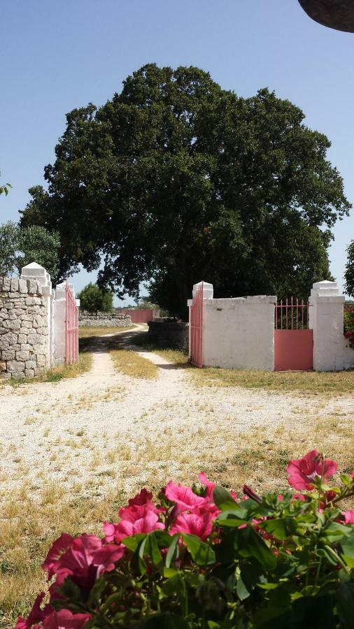 צ'יסטרנינו Masseria Gianca מראה חיצוני תמונה