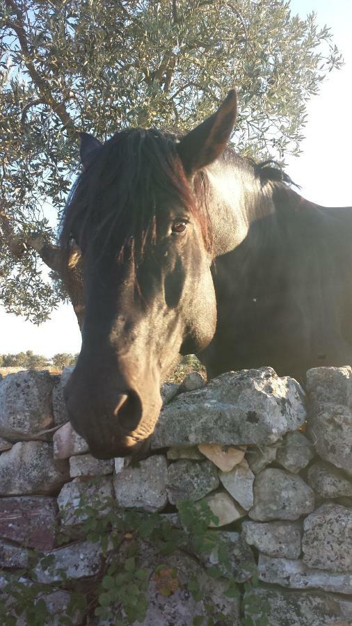 צ'יסטרנינו Masseria Gianca מראה חיצוני תמונה